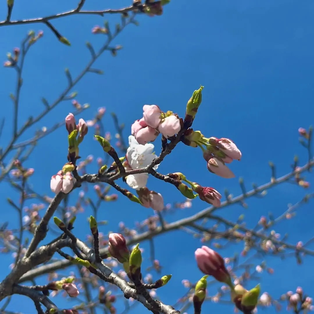 2025년 이전_20260906_172912-11.jpg