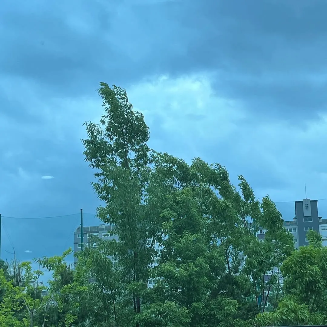 2025년 이전_20260906_172912-12.jpg