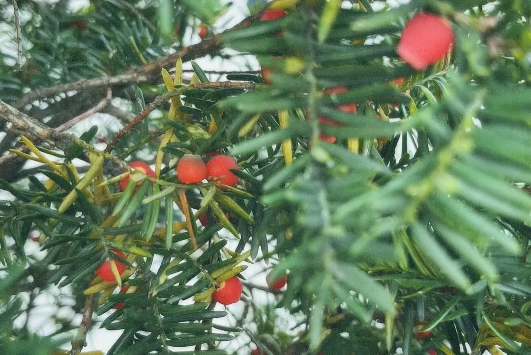 2025년 이전_20260906_172912-17.jpg