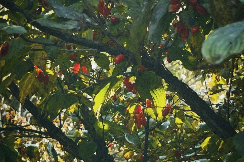 2025년 이전_20260906_172912-19.jpg