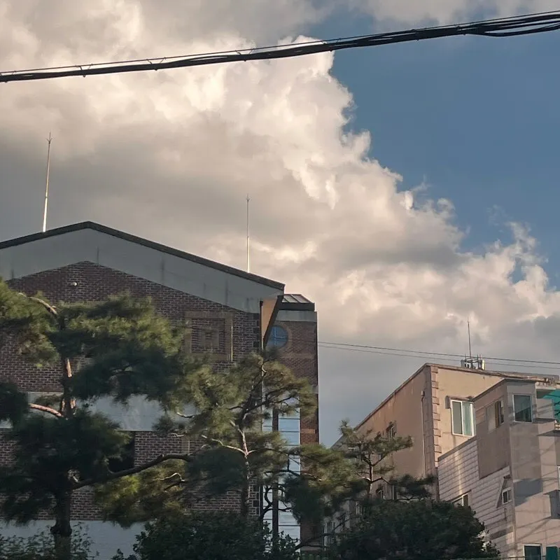 2025년 이전_20260906_172912-2.jpg
