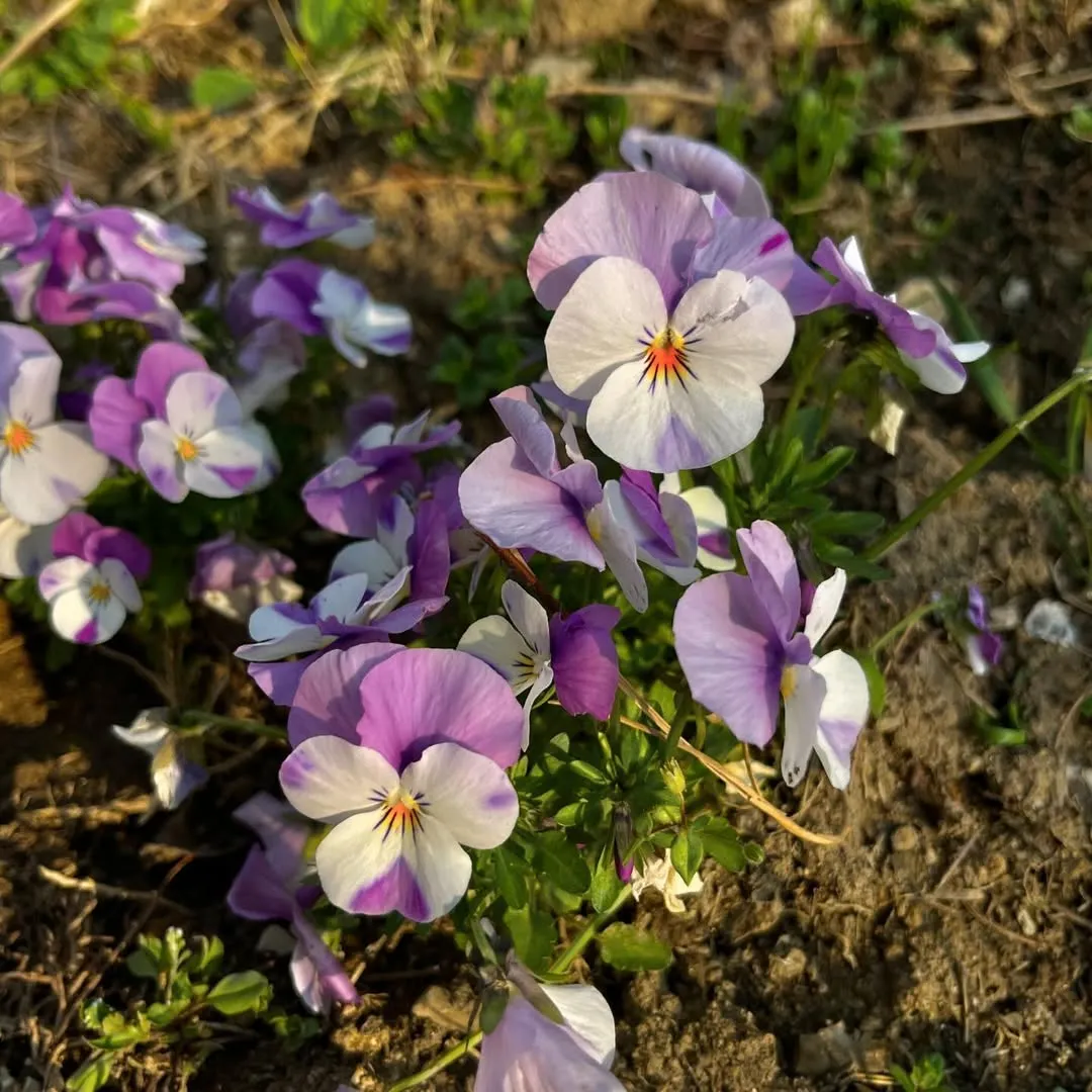 2025년 이전_20260906_172912-7.jpg