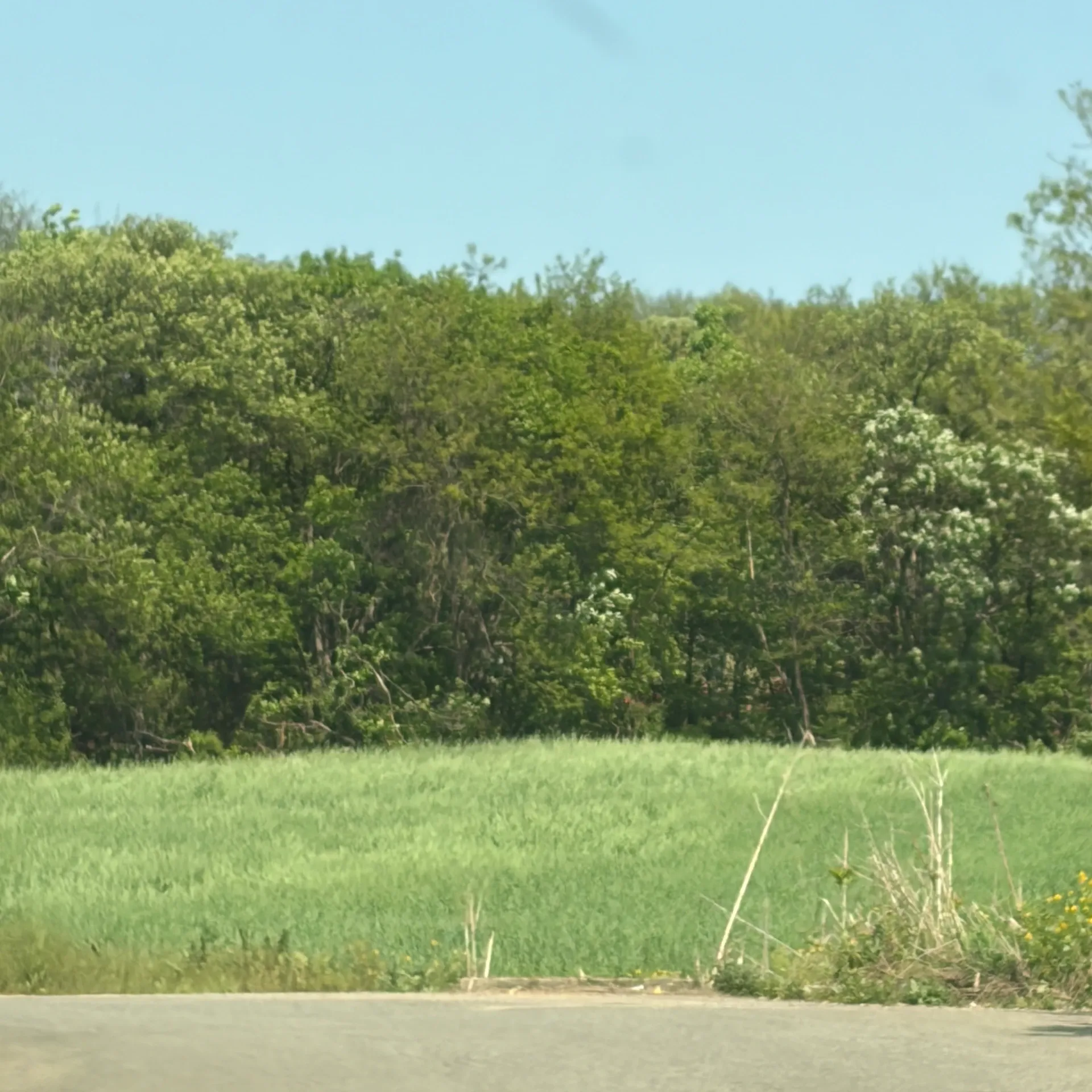 2026년 근처_20260906_173201-10.webp